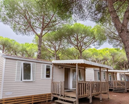 Orbetello Family Collection 10