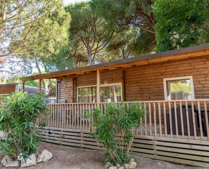 Orbetello Family Collection 6