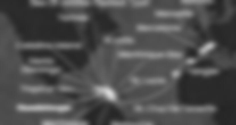 Costa Fascinosa - Nizozemské Antily, Panenské o. (britské), Dominikán.rep., Španělsko, Maroko, ... (Pointe-a-Pitre)