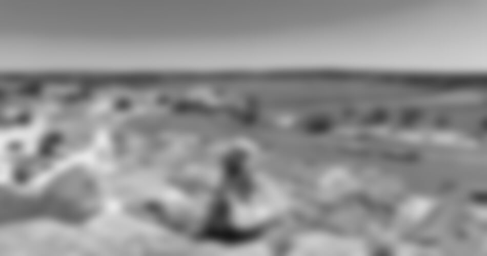 To nejlepší z Alenteja + MYS CABO ESPICHEL + RYBÁŘSKÉ SPECIALITY A VÍNA REGIONU