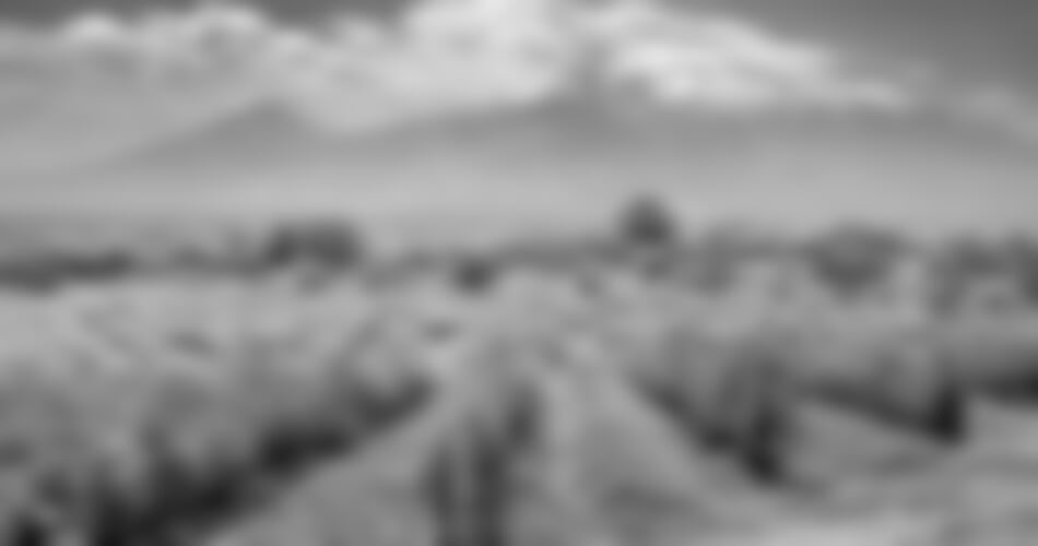 To nejlepší z Arménie + SKALNÍ KLÁŠTER GEGHARD + KULTURNÍ TRADICE A KUCHYNĚ