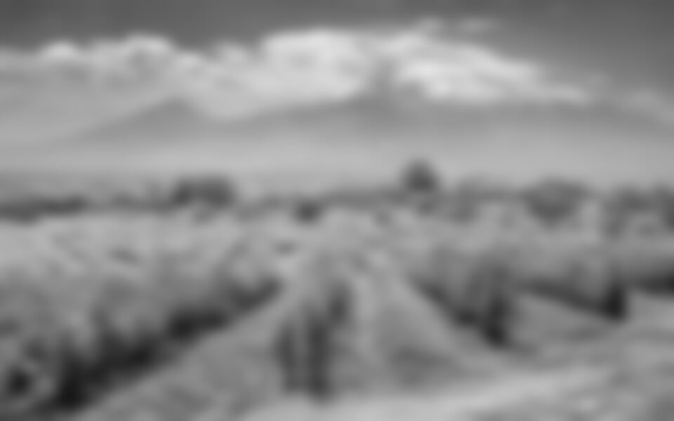 To nejlepší z Arménie + SKALNÍ KLÁŠTER GEGHARD + KULTURNÍ TRADICE A KUCHYNĚ