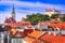 Vánoční trhy ve Vídni, Bratislavě, vánoční relaxace v lázních Velký Meder