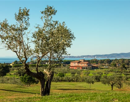 Riva Toscana Golfove Hriste