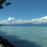 nargiza ta tKcx5 8nRrw unsplash