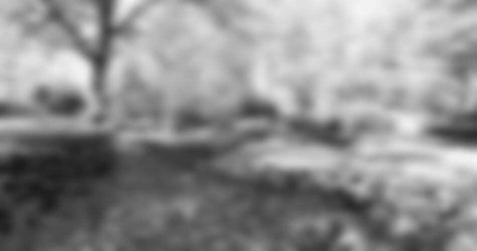 Velikonoční Amsterdam + KVĚTINOVÁ ZAHRADA KEUKENHOF + SLAVNÁ MUZEA