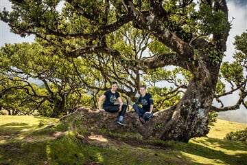 To nejlepší z Madeiry + OSTROVNÍ GASTRONOMIE + VÝLETNÍ PLAVBA NA PORTO SANTO
