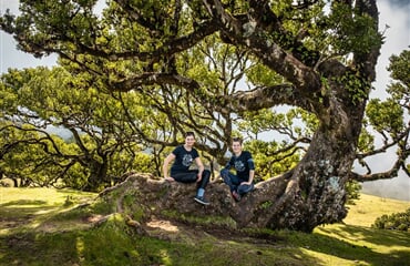 To nejlepší z Madeiry + OSTROVNÍ GASTRONOMIE + VÝLETNÍ PLAVBA NA PORTO SANTO