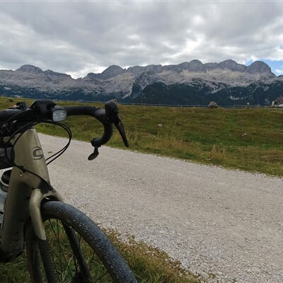 stefano zocca KrlxZWzBI2o unsplash