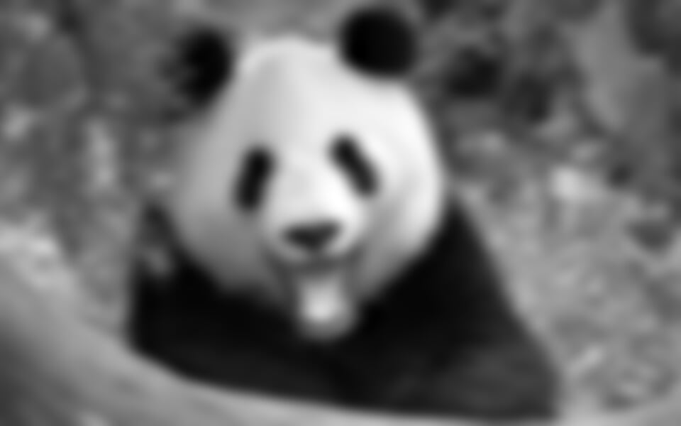 Vídeň - Za pandami do vídeňské ZOO a Dům moří