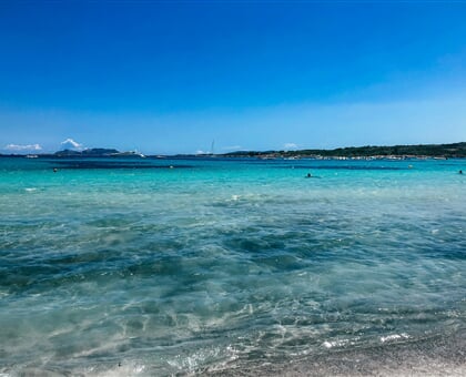 filiz elaerts 0zOg4R5teeg unsplash alghero