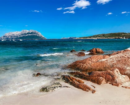 filiz elaerts isNrB0I7mPI unsplash Sardinien, Alghero