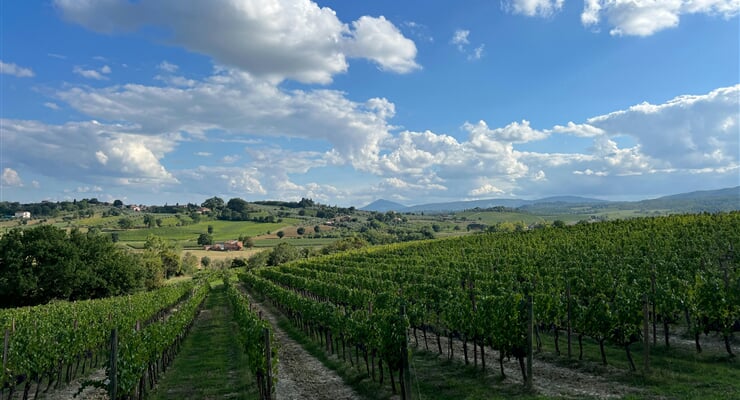 daniel alter eXY YlrzxxM unsplash MONTEPULCIANO