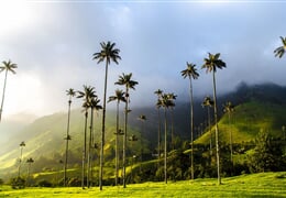 To nejlepší z Kolumbie + ÚDOLÍ COCORA + KOUPÁNÍ NA KARIBSKÉM POBŘEŽÍ