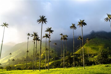 To nejlepší z Kolumbie + ÚDOLÍ COCORA + KOUPÁNÍ NA KARIBSKÉM POBŘEŽÍ