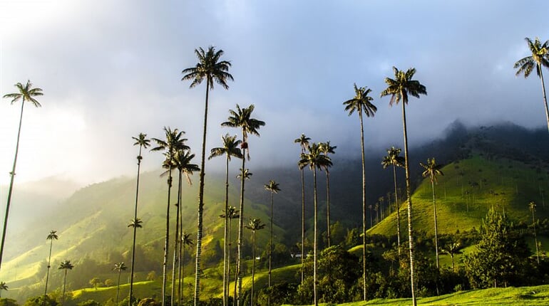 Foto - To nejlepší z Kolumbie + ÚDOLÍ COCORA + KOUPÁNÍ NA KARIBSKÉM POBŘEŽÍ