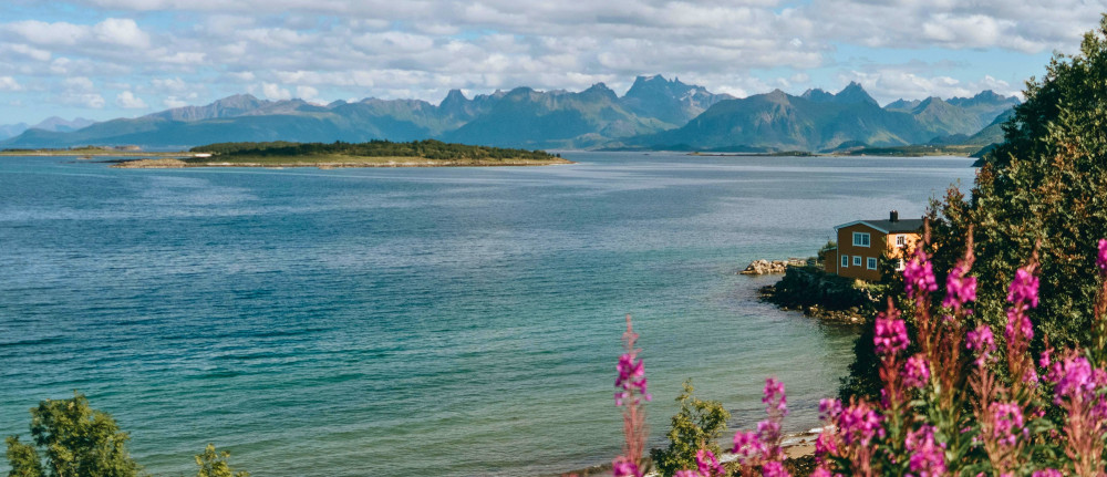 pexels nicobecker 5651789