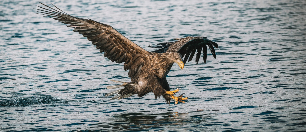 federico di dio photography hA0KMPySU8U unsplash