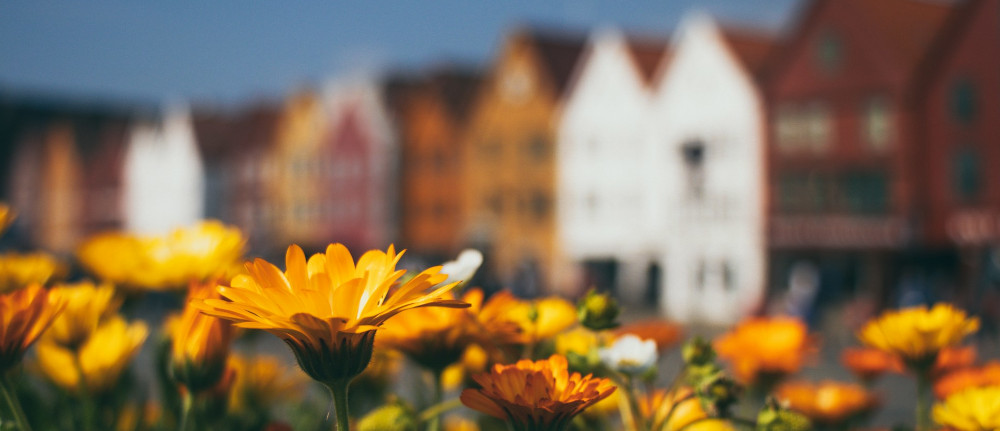 jeswin thomas I7g1FQw J1U unsplash