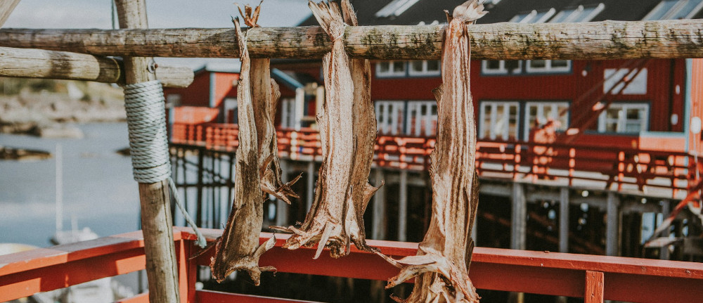 sandro kradolfer nF1uVpDlGiM unsplash