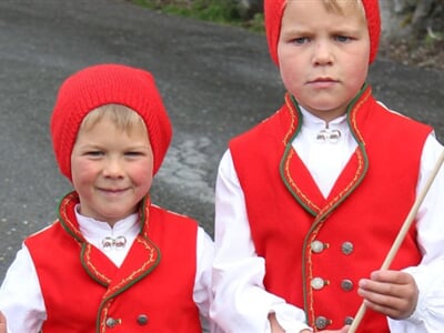 krivis-children-588880_1280