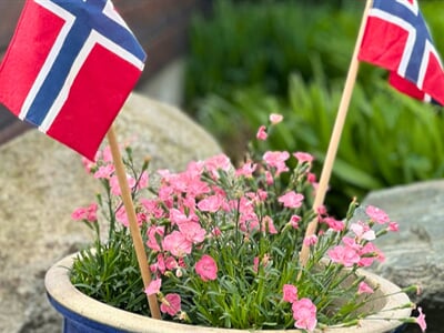 4fd1c136 be8f 4831 9a76 9325821cfb5d