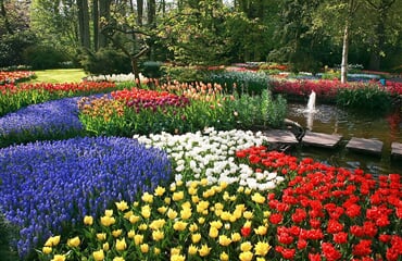 To nejlepší z Amsterdamu + KVĚTINOVÁ ZAHRADA KEUKENHOF