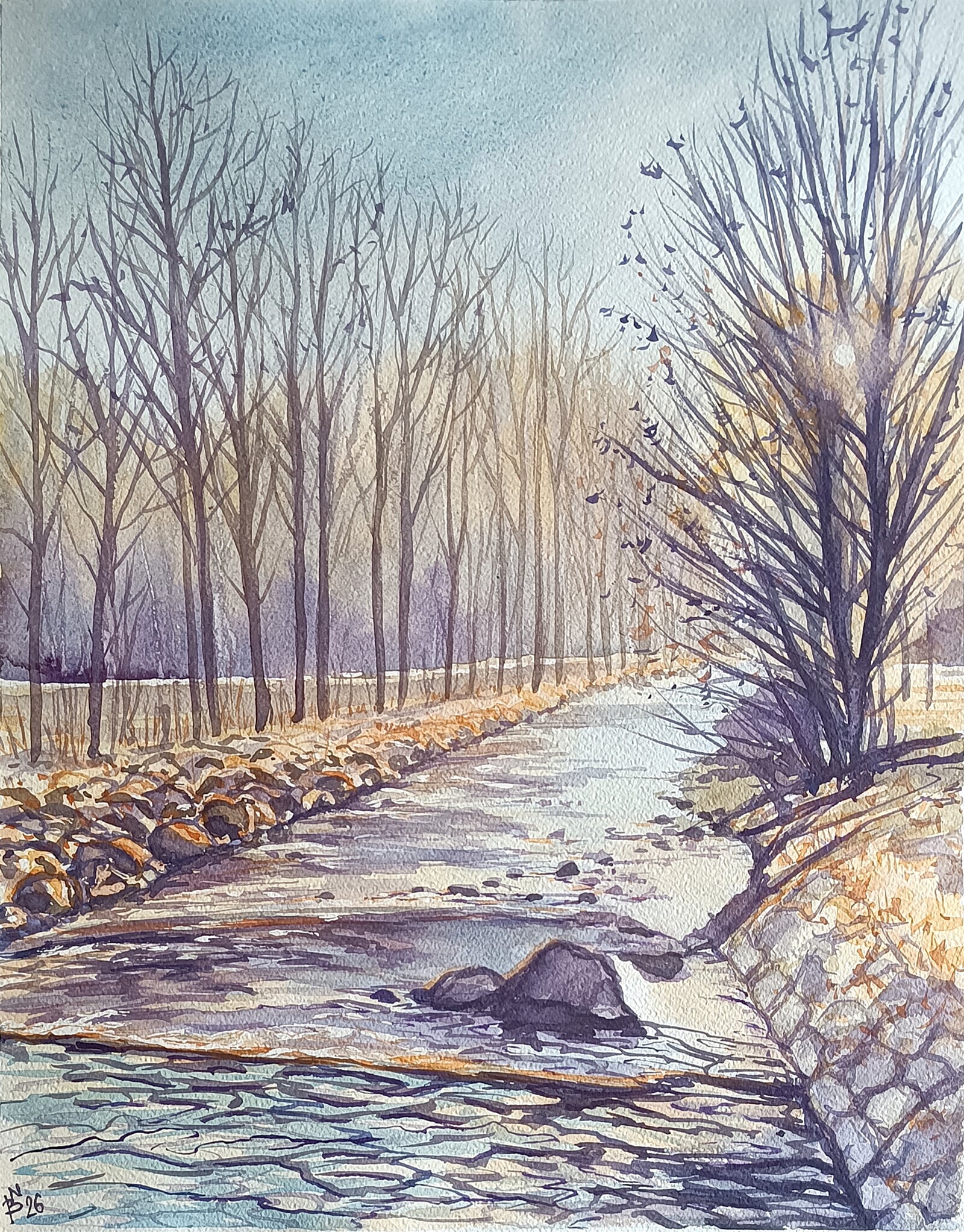 Blažena Niemcová : Jarní světlo u Hluchové, 50 × 40 cm