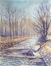 Jarní světlo u Hluchové