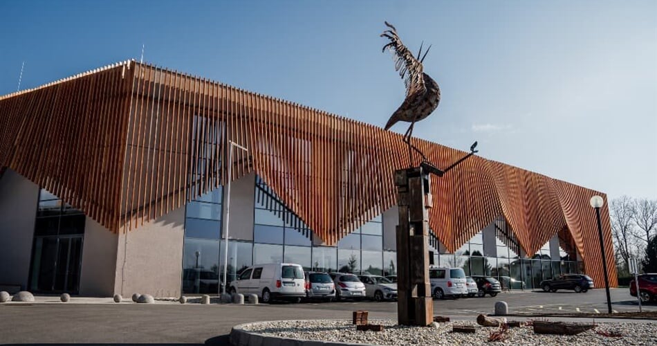 Terme Banovci, hotel Narcisa 4*