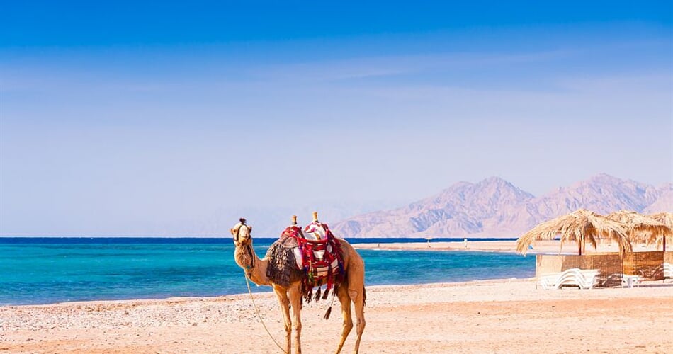 Foto - To nejlepší z Jordánska + POBYT U RUDÉHO A MRTVÉHO MOŘE