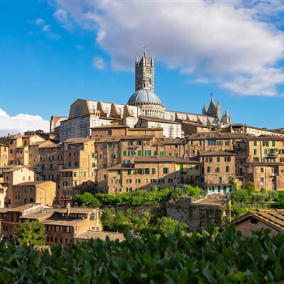 alessandro rossi JU Bgza3ZHE unsplash