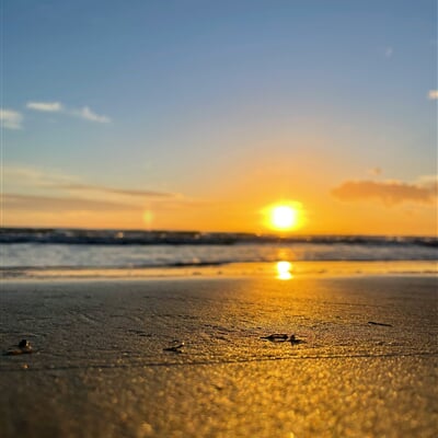 mohamed aziz 4kIg5fvCz9k unsplash