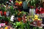 květinový trh