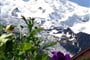 Mont Blanc 