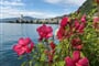 Montreaux 