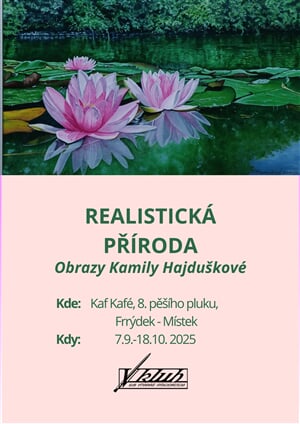 plakat Kamila Hajduskova komprim