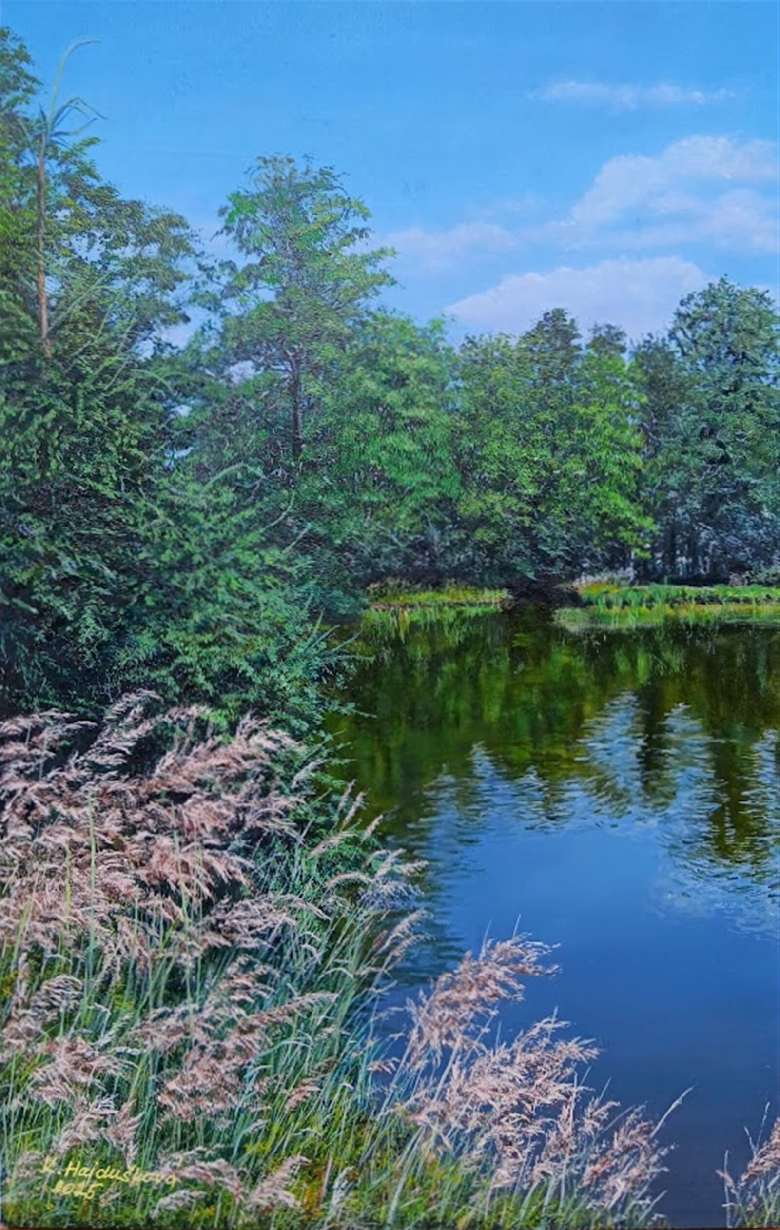 Kamila Hajdušková: Zrcadlení mezi stébly, 40 × 25 cm