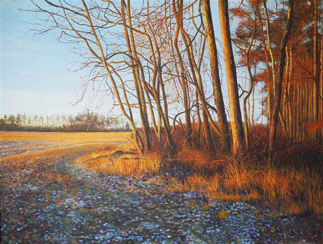 Lednové ráno u Jalovčí