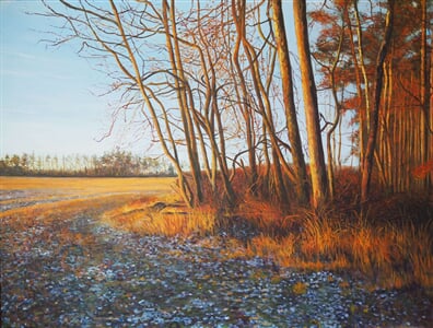 Lednove rano u Jalovci