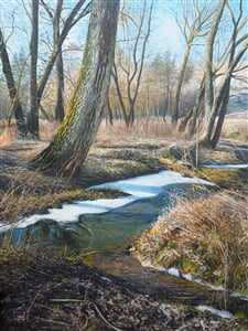 Posledni ozveny zimy