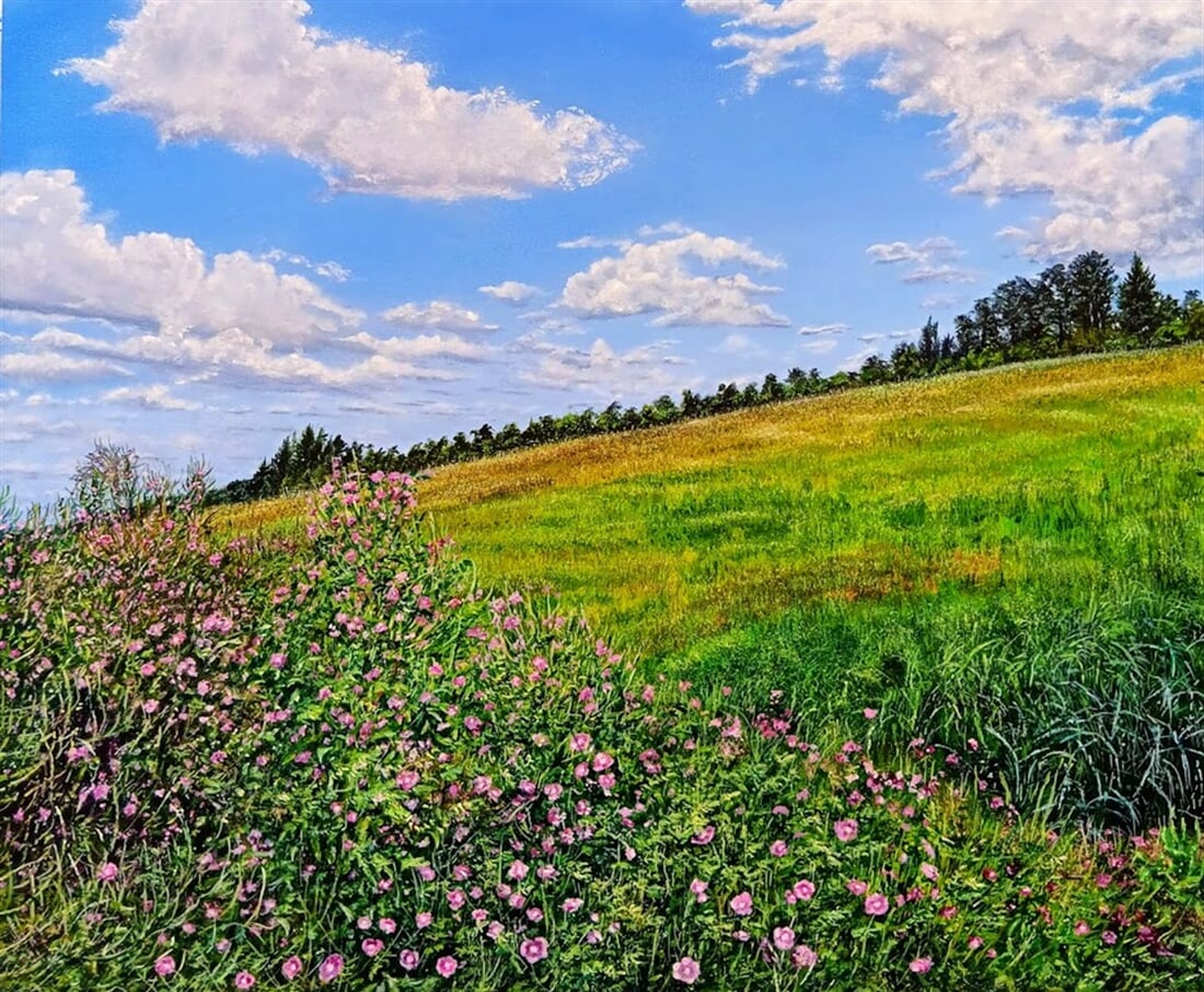 sepot vrbovky 