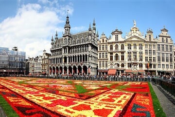 To nejlepší z Belgie + KVĚTINOVÝ KOBEREC + WATERLOO