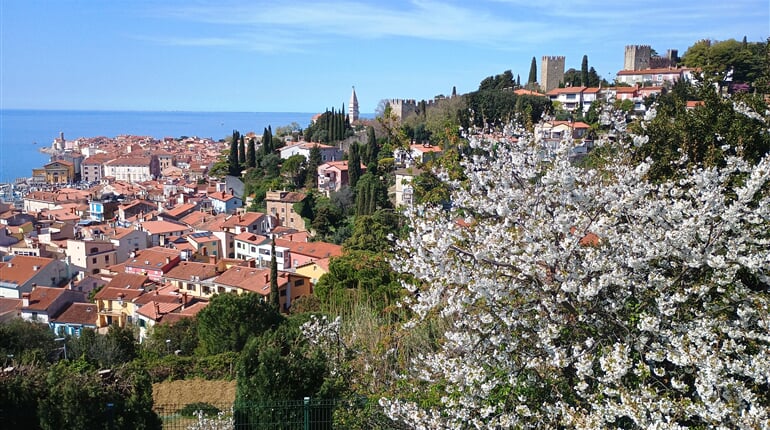 Piran 03