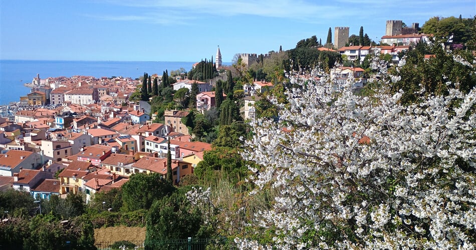 Piran 03