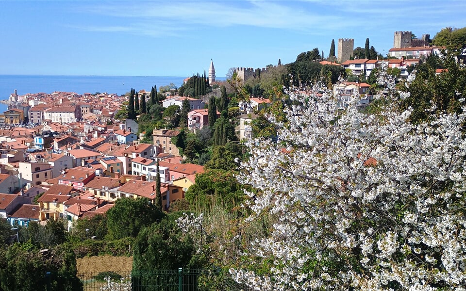 Piran 03
