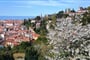 Piran 03