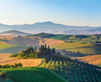 Brunello Wine Tour My Tour (1)