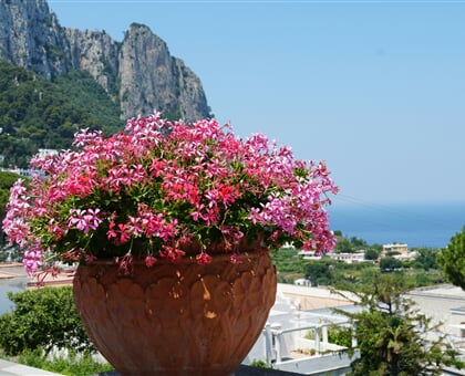 sheila c ZnMq0 bKuMo unsplash