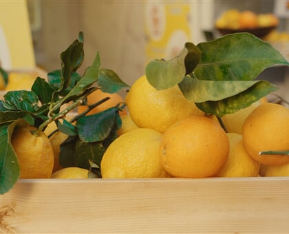 chris weiher Odj5iXblJIY unsplash